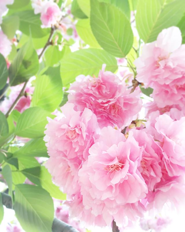 IMG_E3043-Instagram-640px