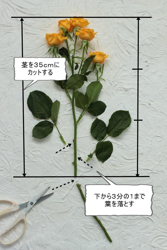 IMG_4494―説明