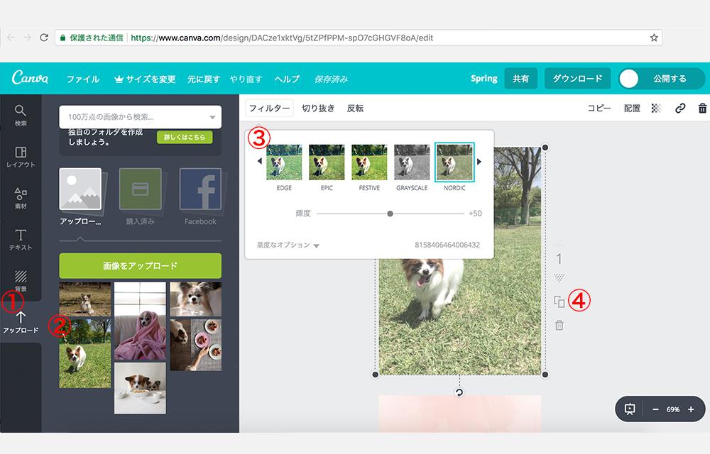 canva004
