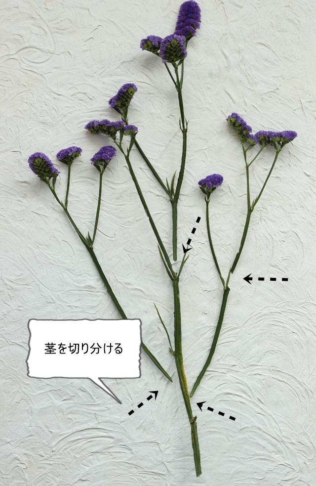 IMG_4496―説明