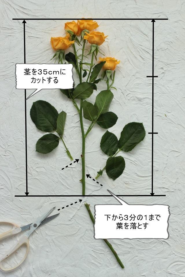 IMG_4494―説明
