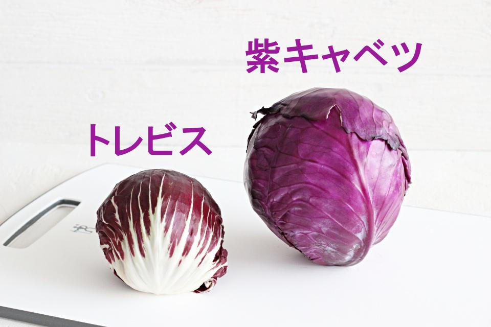 チコリ　紫キャベツ　違い　文字入れ　IMG_2433