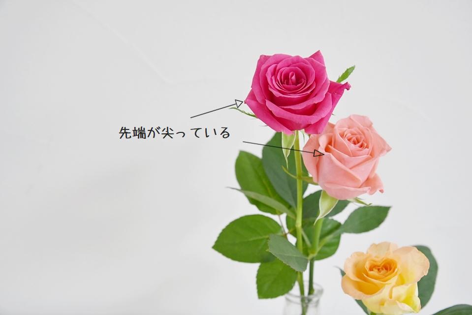 DSC_7060.m