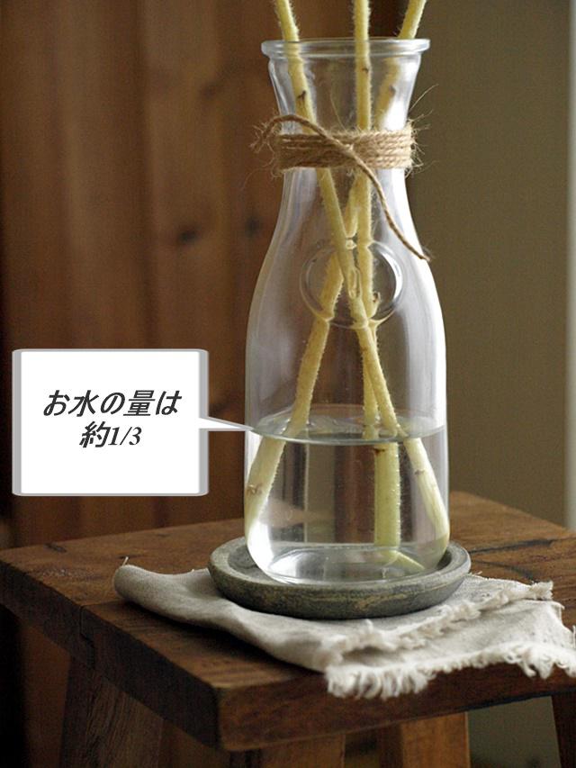 ひまわり水