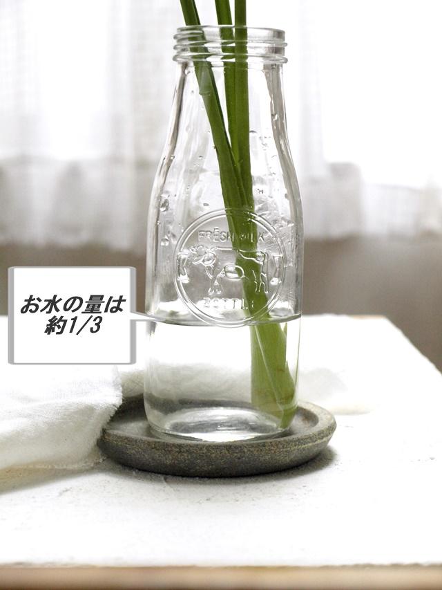 P6187980