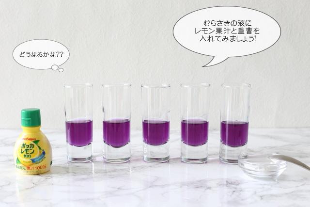 ★_MG_9758　実験①