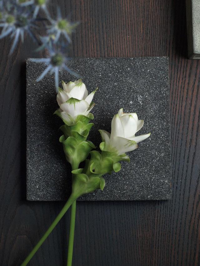 P7098208