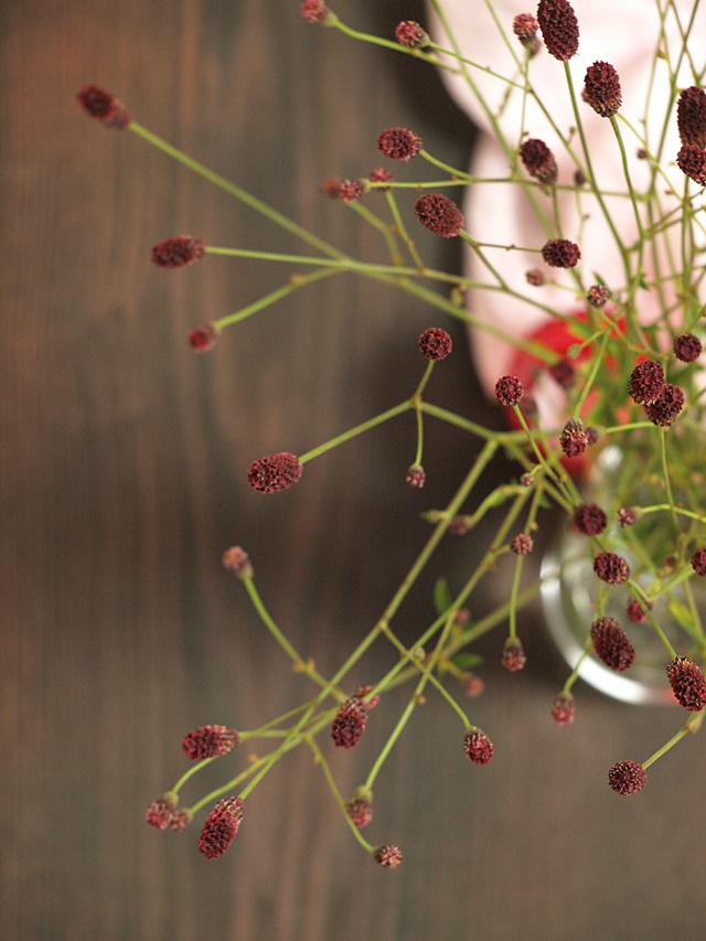 P8208874