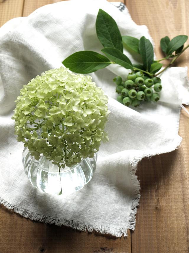 P6263232