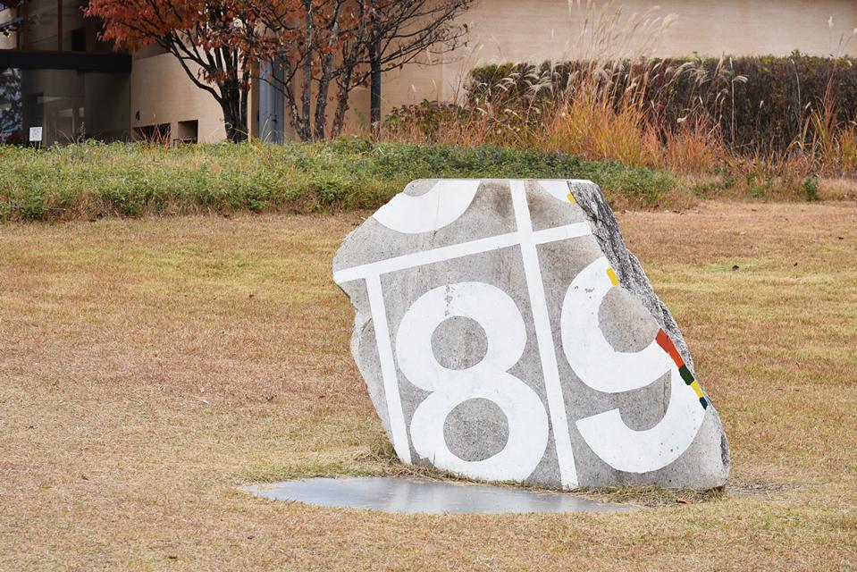 DSC_9312