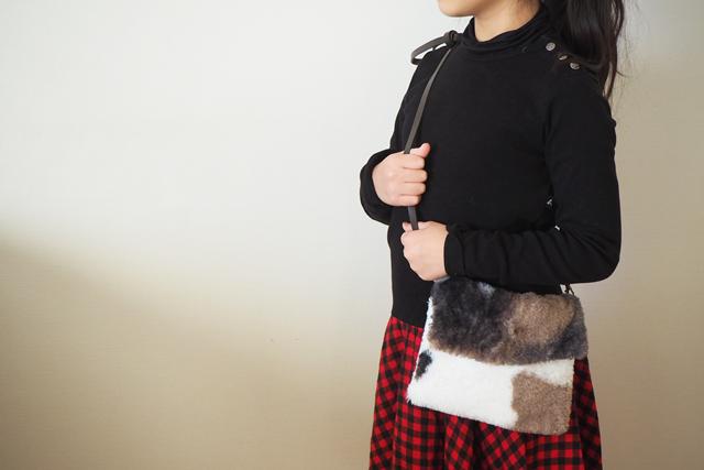 PC120146 (2)