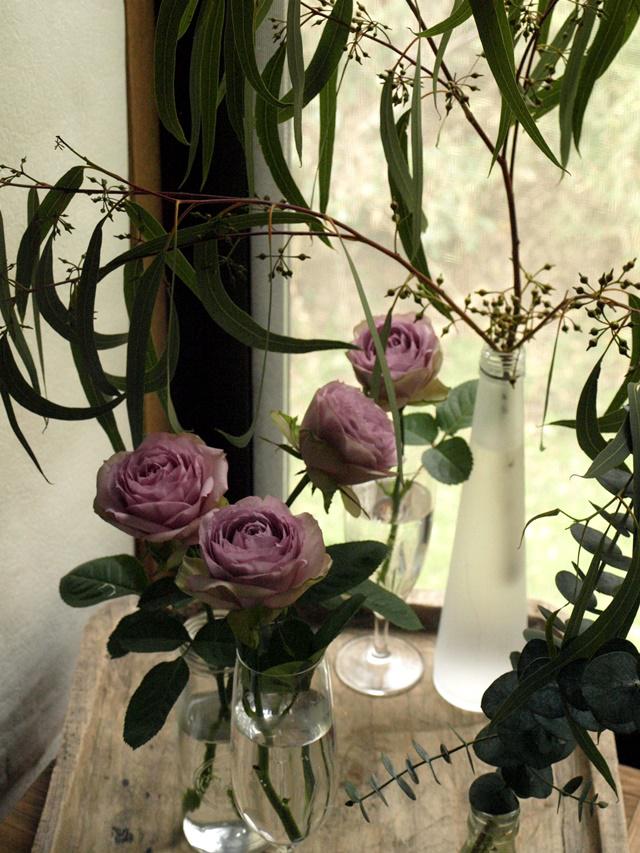 P1060254