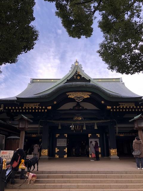 展開5