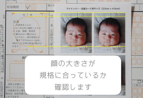 再提出９