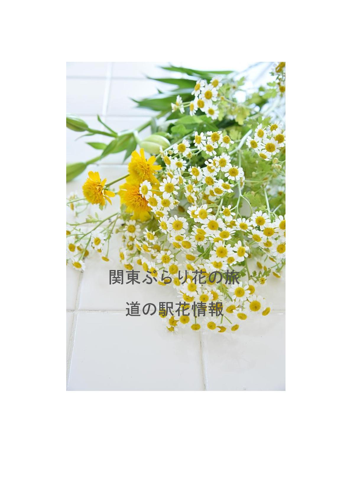 ilovepdf_com