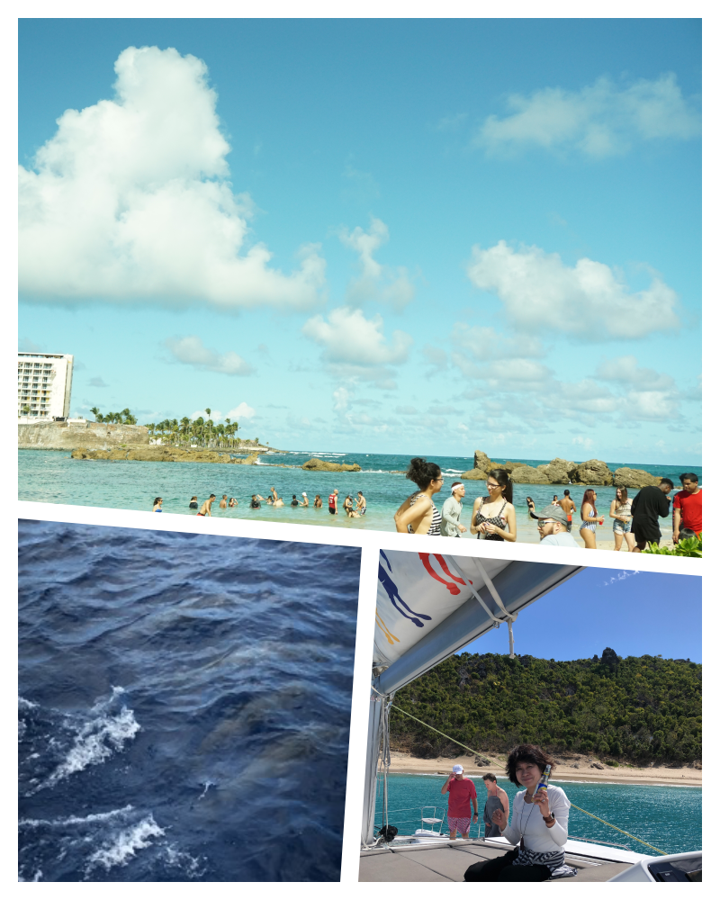 collage 14