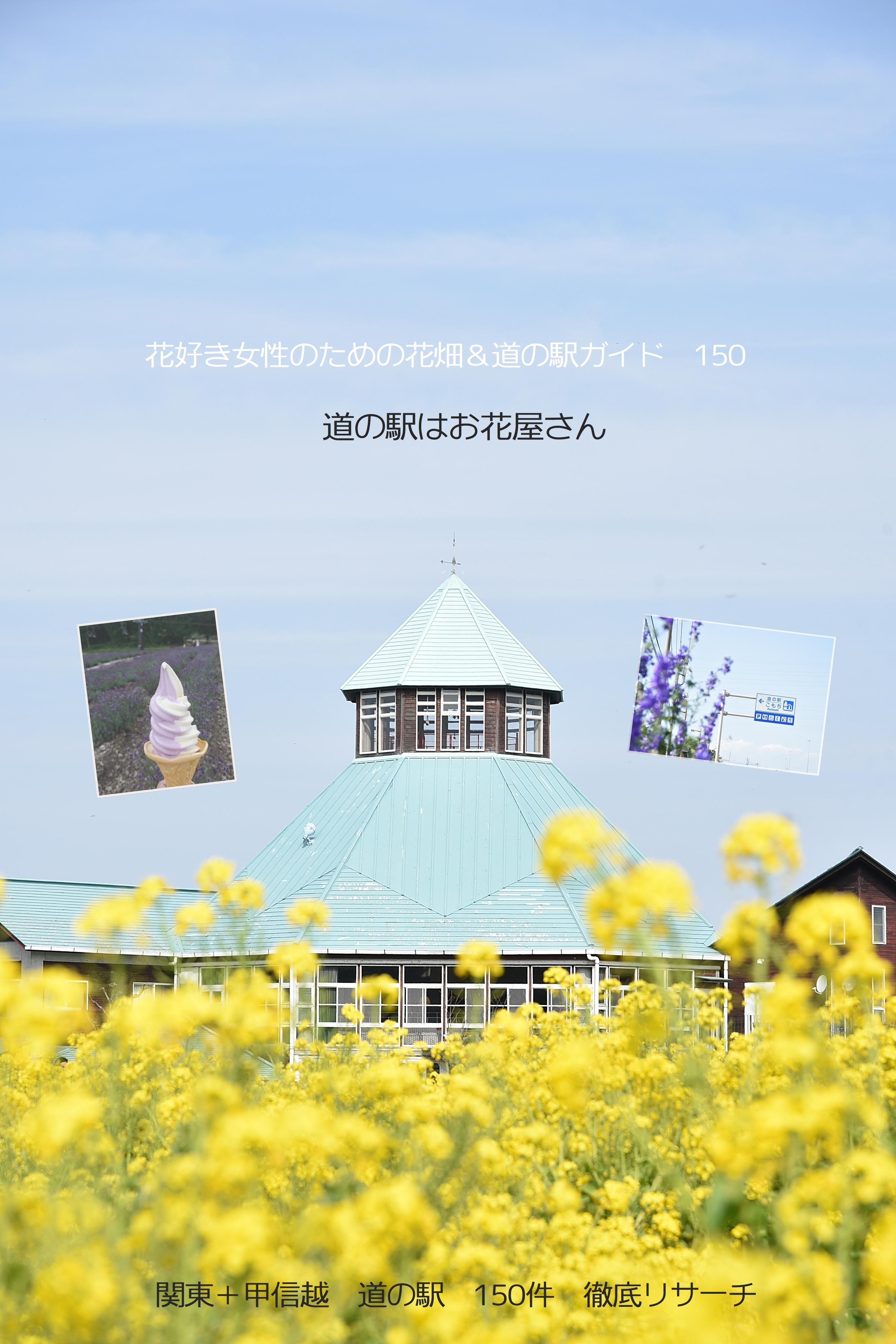 DSC_1406.h-2