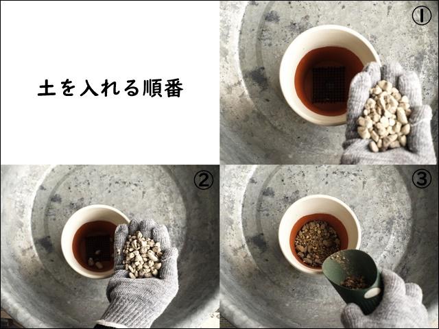 土-vert