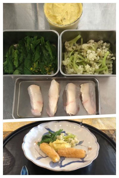 collage 魚