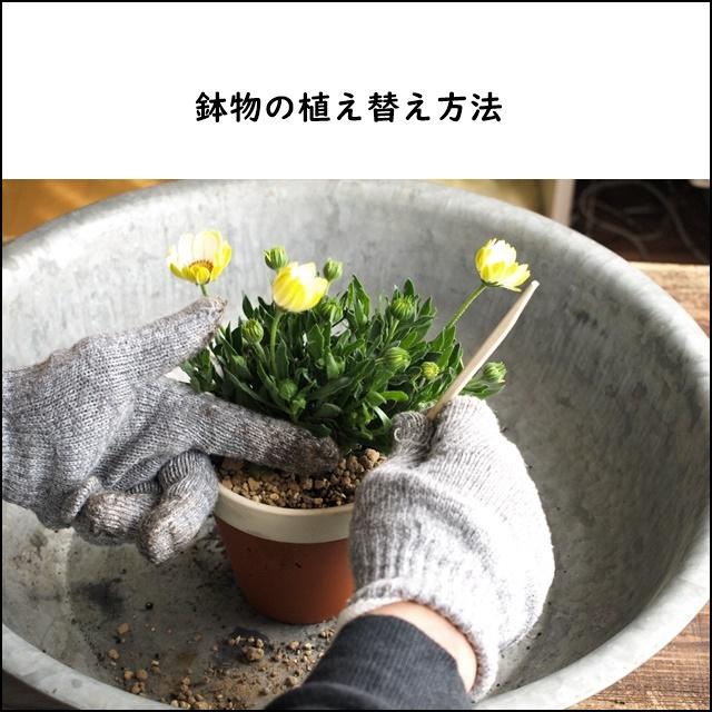 扉-vert