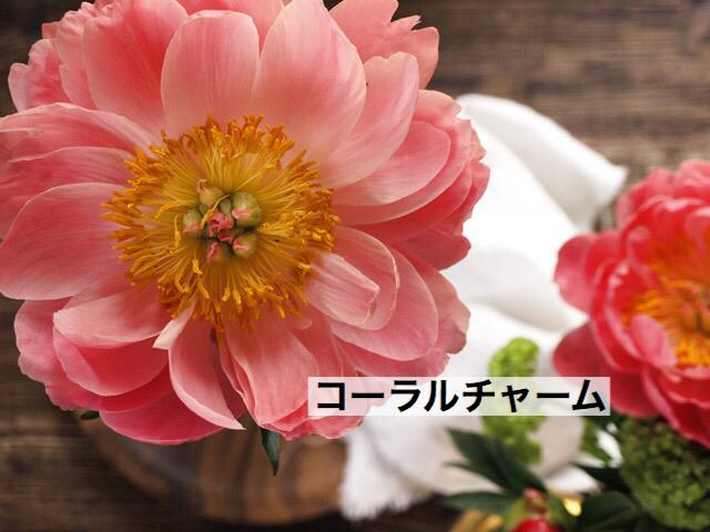 phonto