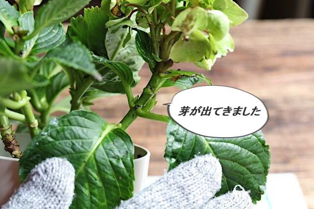 吹き出し
