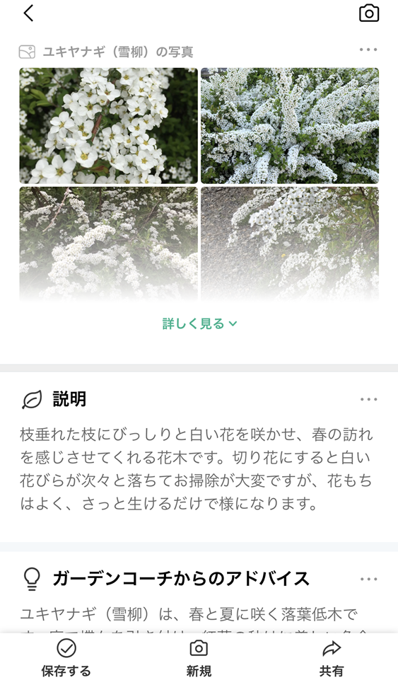 7トリミングIMG-5122