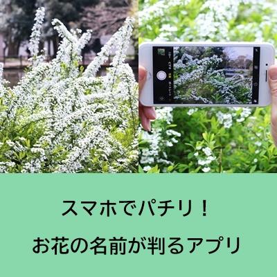 扉文字あり