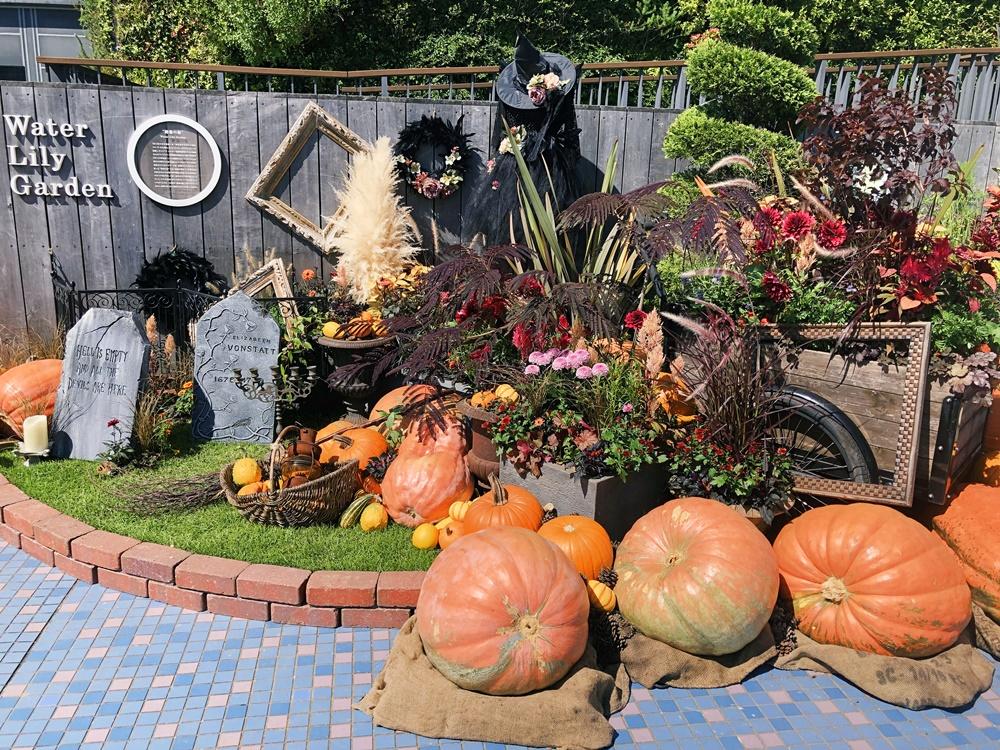 池袋ハロウィンIMG-7813