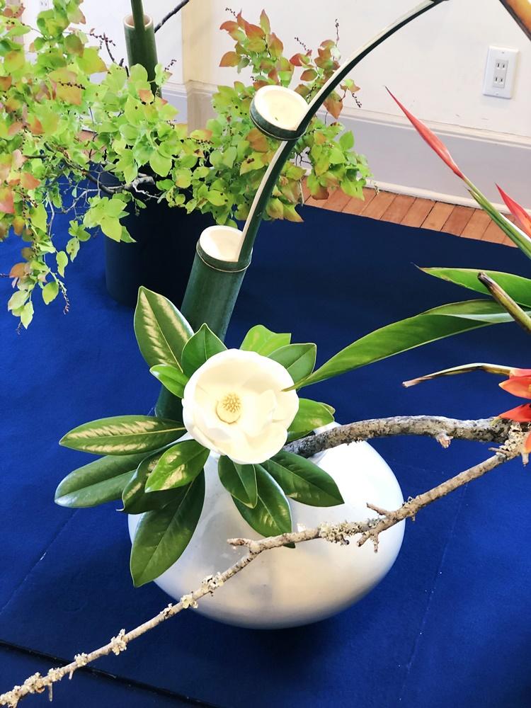 たいさんぼくの花