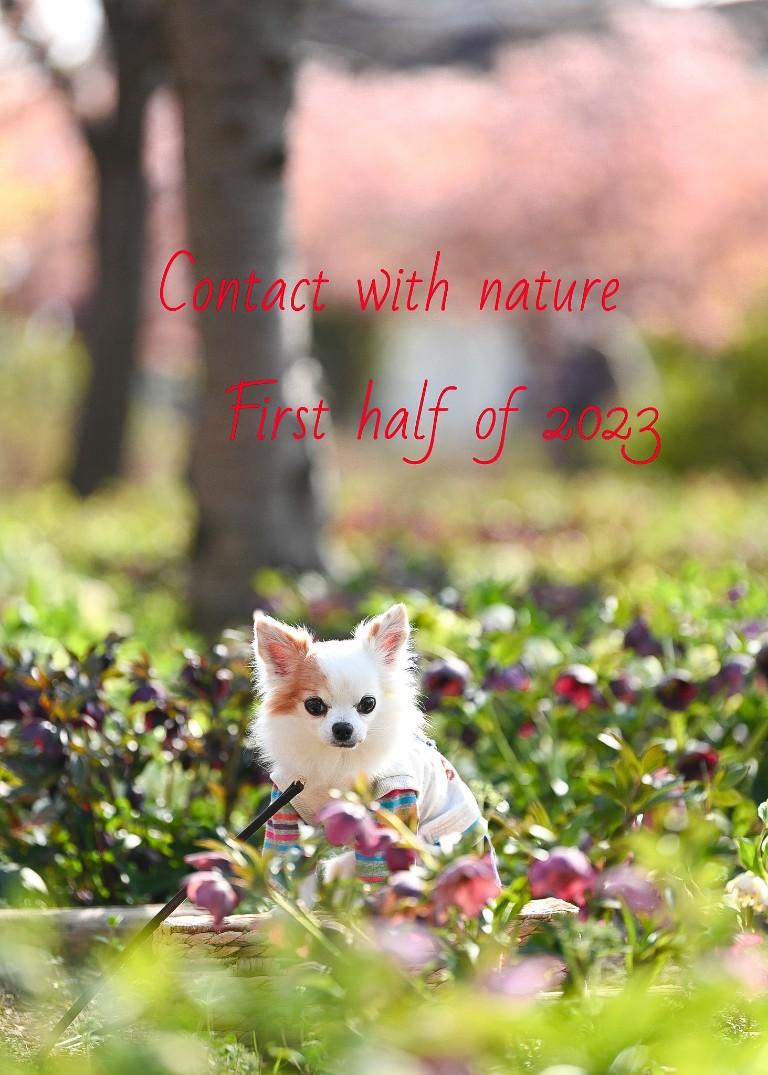 Phonto(2)_copy_768x1075