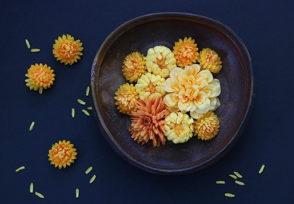 黄色菊IMG_0483