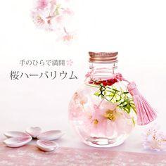 6ef92f35f07b16d871a75c0c43722e4b