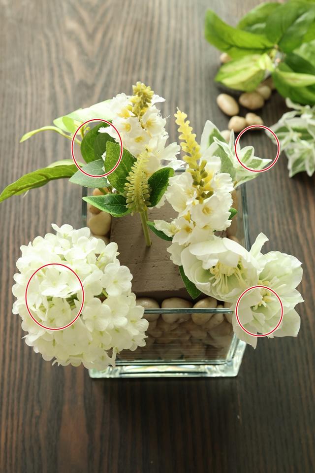 ６月画像３