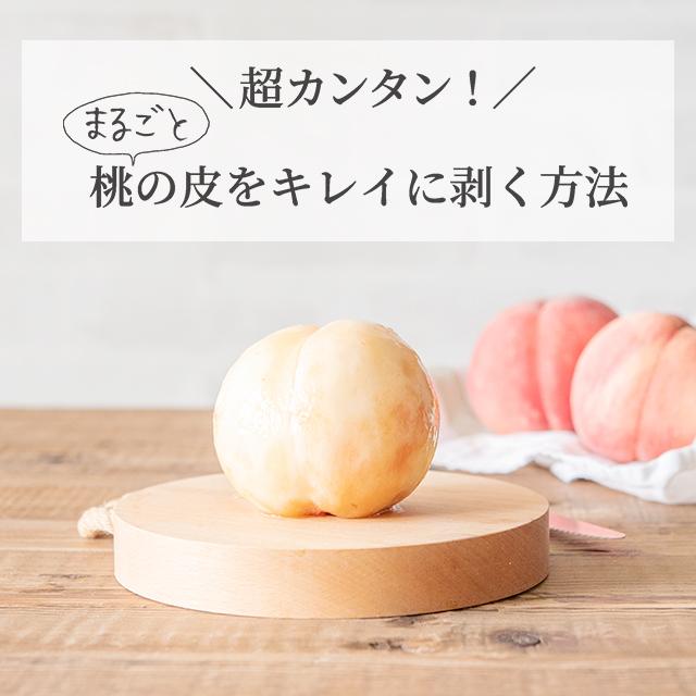 00-tobira_7605-2