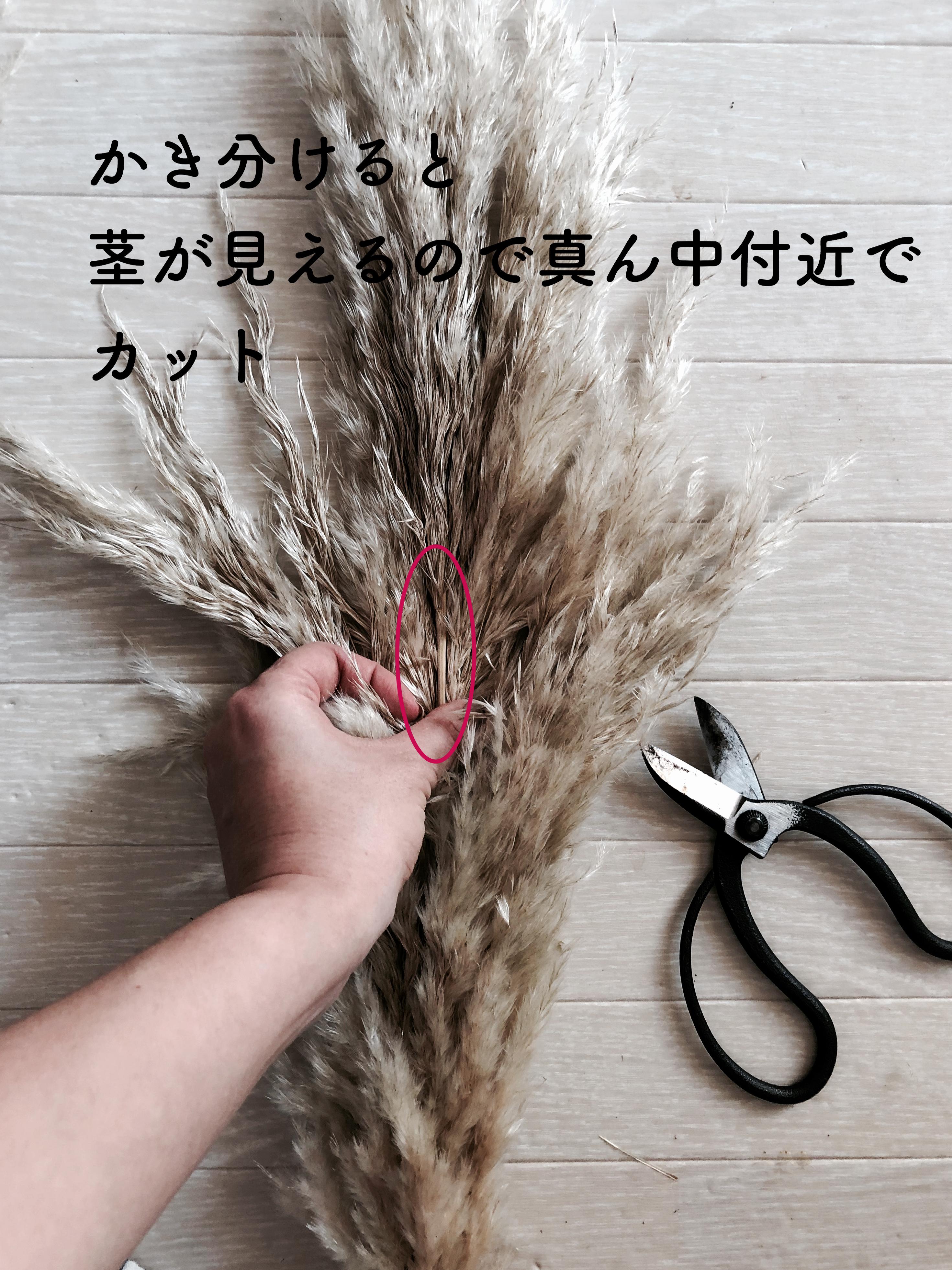 CD8F84DE-A92E-432E-97D6-E2462A19C089