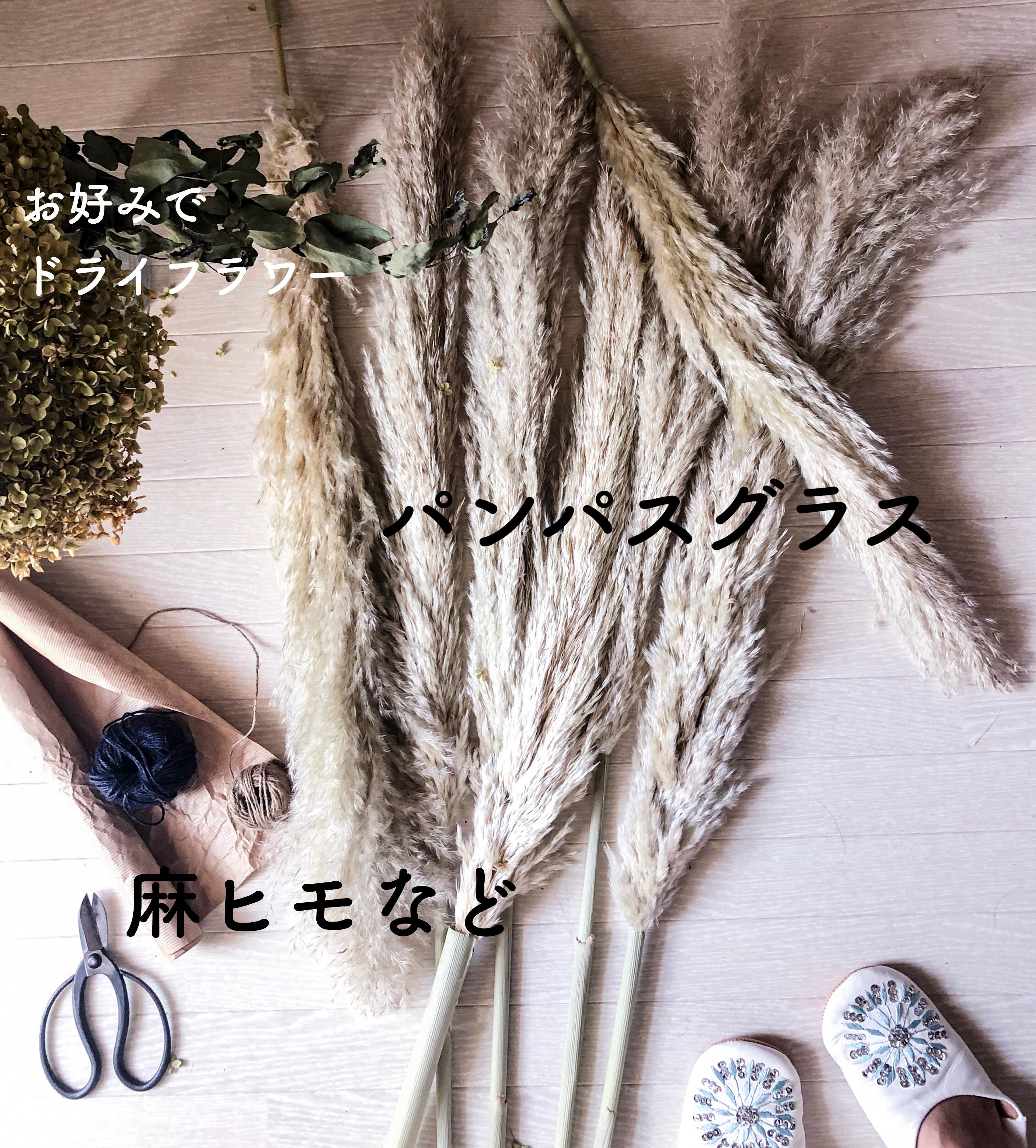 C3C06057-8B97-4210-999C-E974904BAF6C