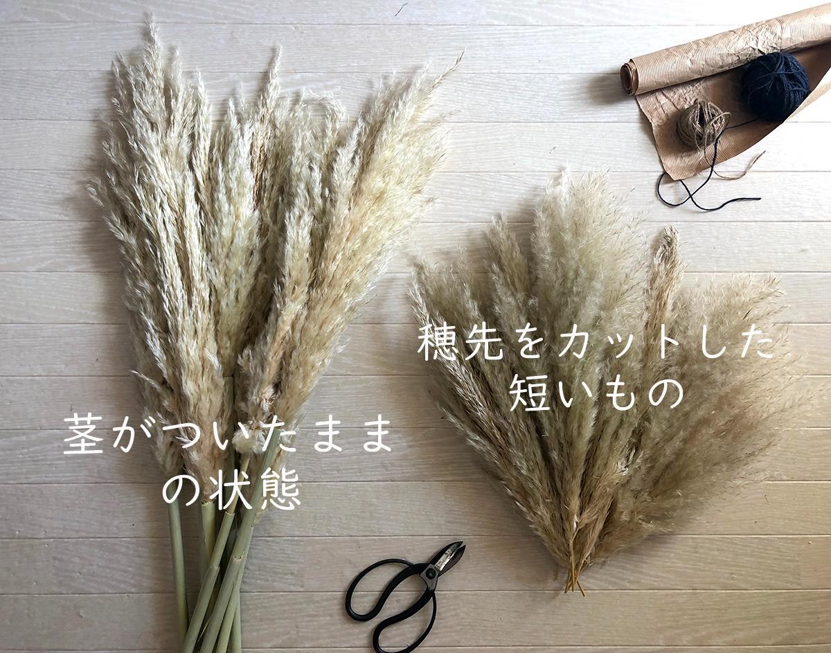 C9FF4CDD-F5AF-40FC-B70D-86621C8514D9