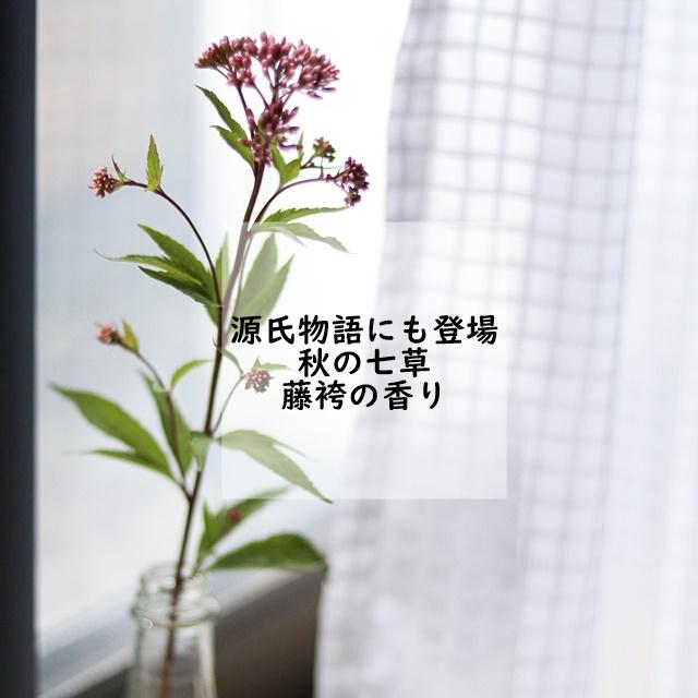 扉