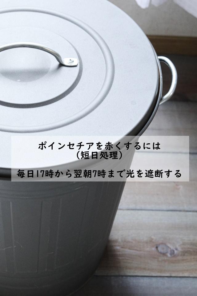 IMG_0779文字入れ