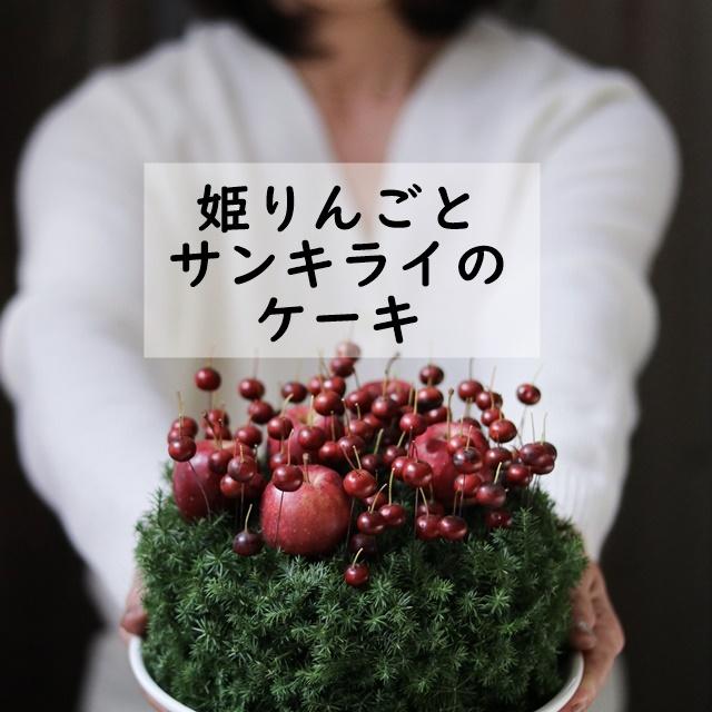 扉50