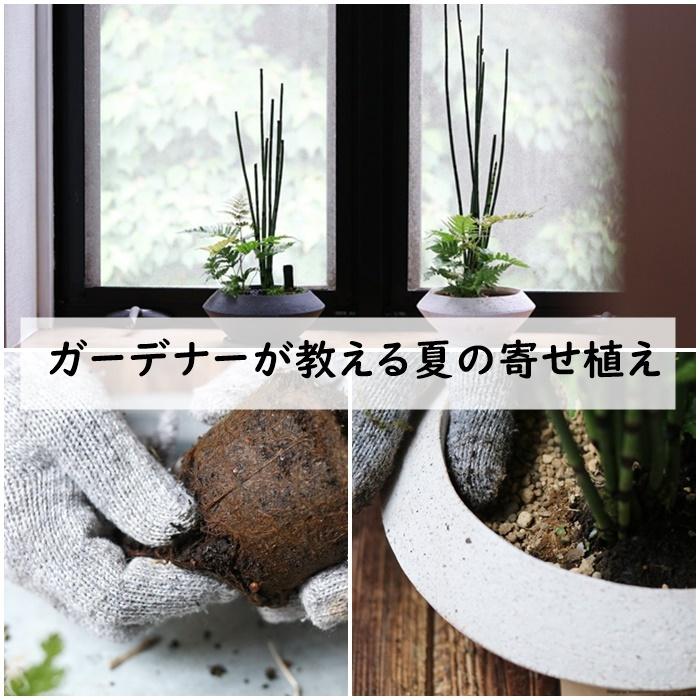 扉